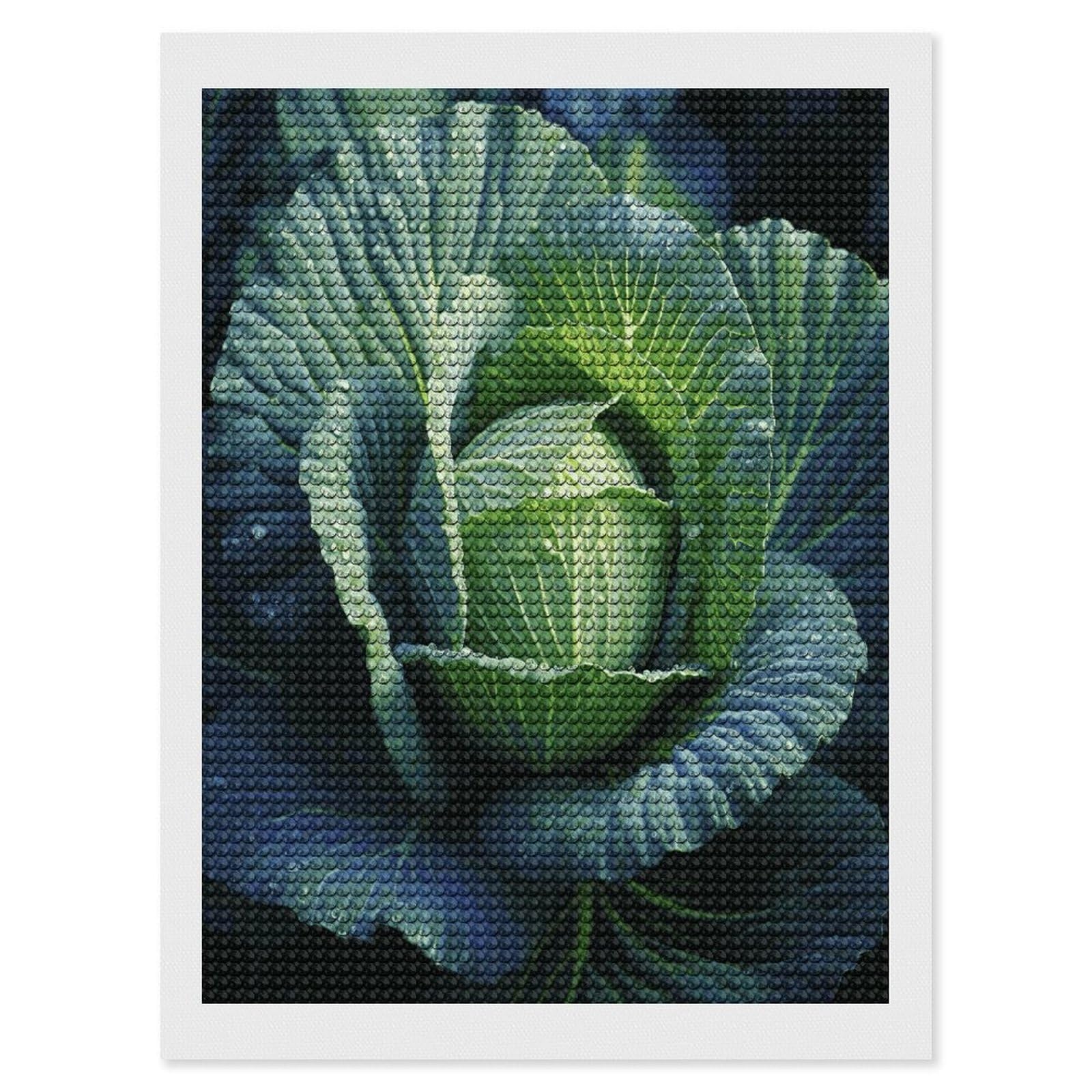 JTREHY Bright Cabbage Diamond Art Kits Personalized DIY Round Diamond Painting Kits for Beginner Full Drill Diamonds Dots Paintings for Adults Gem Art Crafts Home Decor