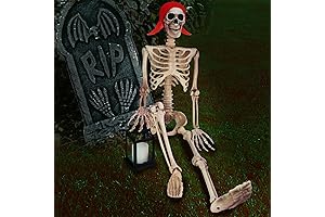 3ft Halloween Skeleton, Full Body Skeleton
