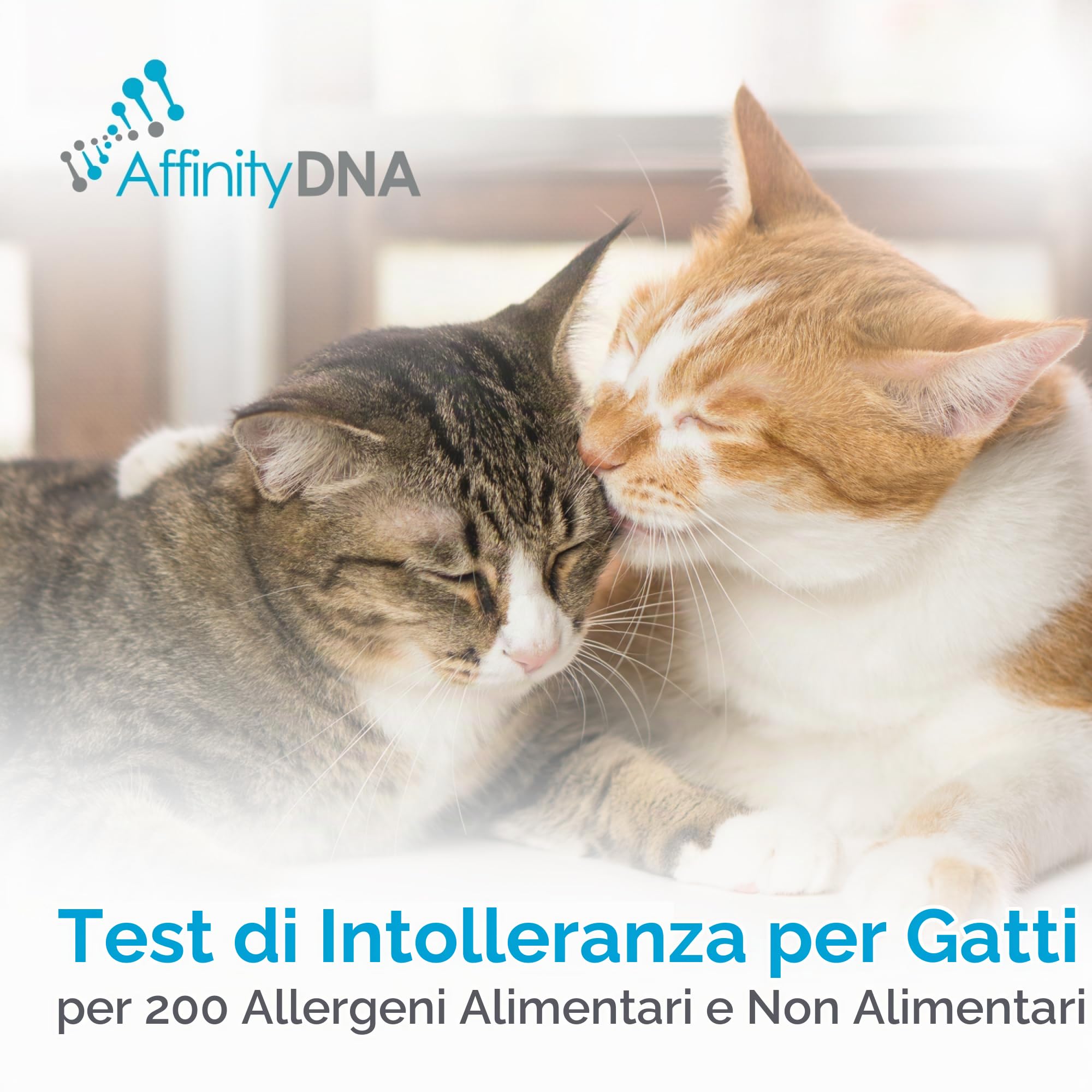Test per Gatti intolleranza a 200 Articoli Alimentari e Non | Kit Raccolta Campioni per 1 felino | Risultati in 5-7 Giorni lavorativi | Kit Completo Senza Costi aggiuntivi