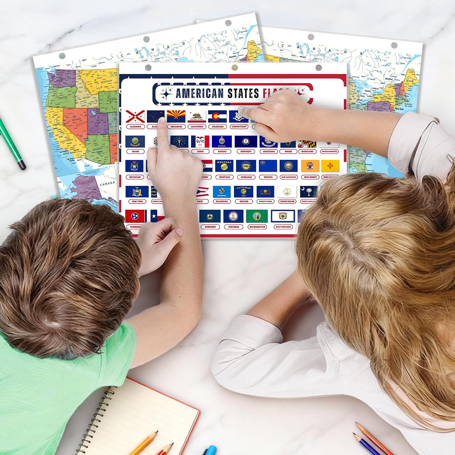 United States Map with All 50 State Flags – Laminated, Double-Sided 3-Ring Binder Insert – Durable Gloss Reference Page for Study & Binder Organization (5 Pack)