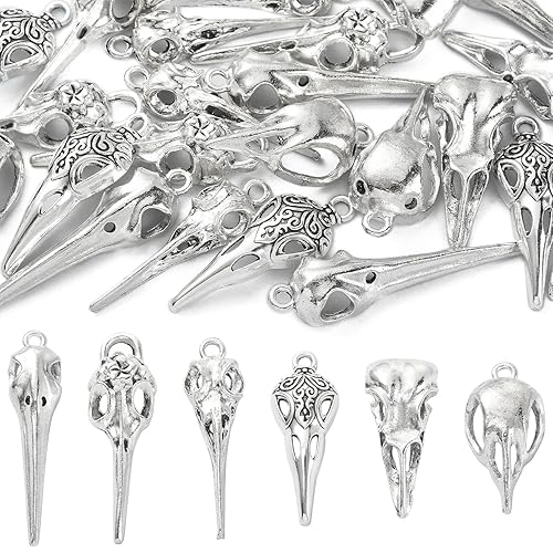 DanLingJewelry 30 Stück 6 Stile Antik Silber Rabe Totenkopf Vogel Kopf Skelett Charms für Halloween Schmuckherstellung Basteln