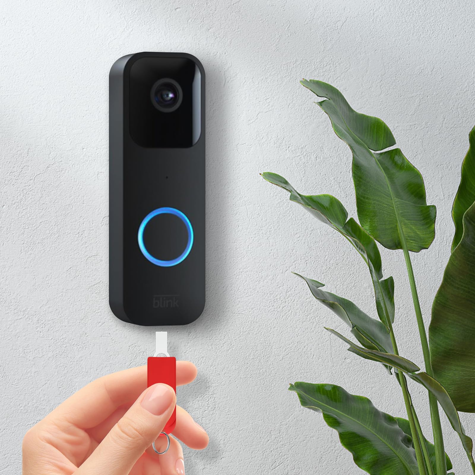 TOURNEVIS POUR SONNETTE Annulaire, Sonnette Kit De Remplacement De