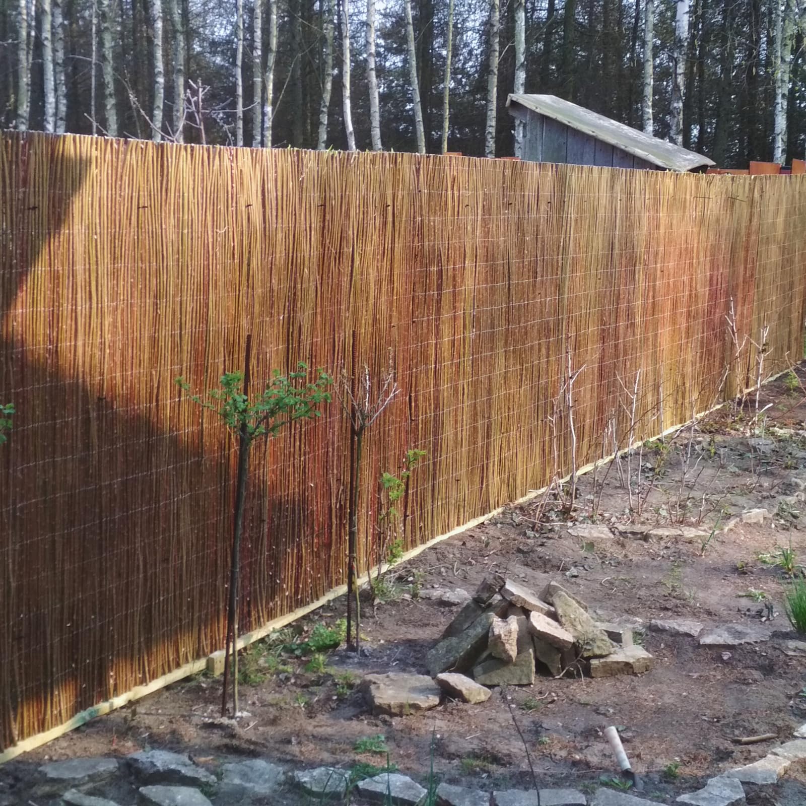 Canisse Osier Déco Naturelle 40 x 300 cm Brise Vue Jardin Balcon Cloture Exterieur Pare Soleil