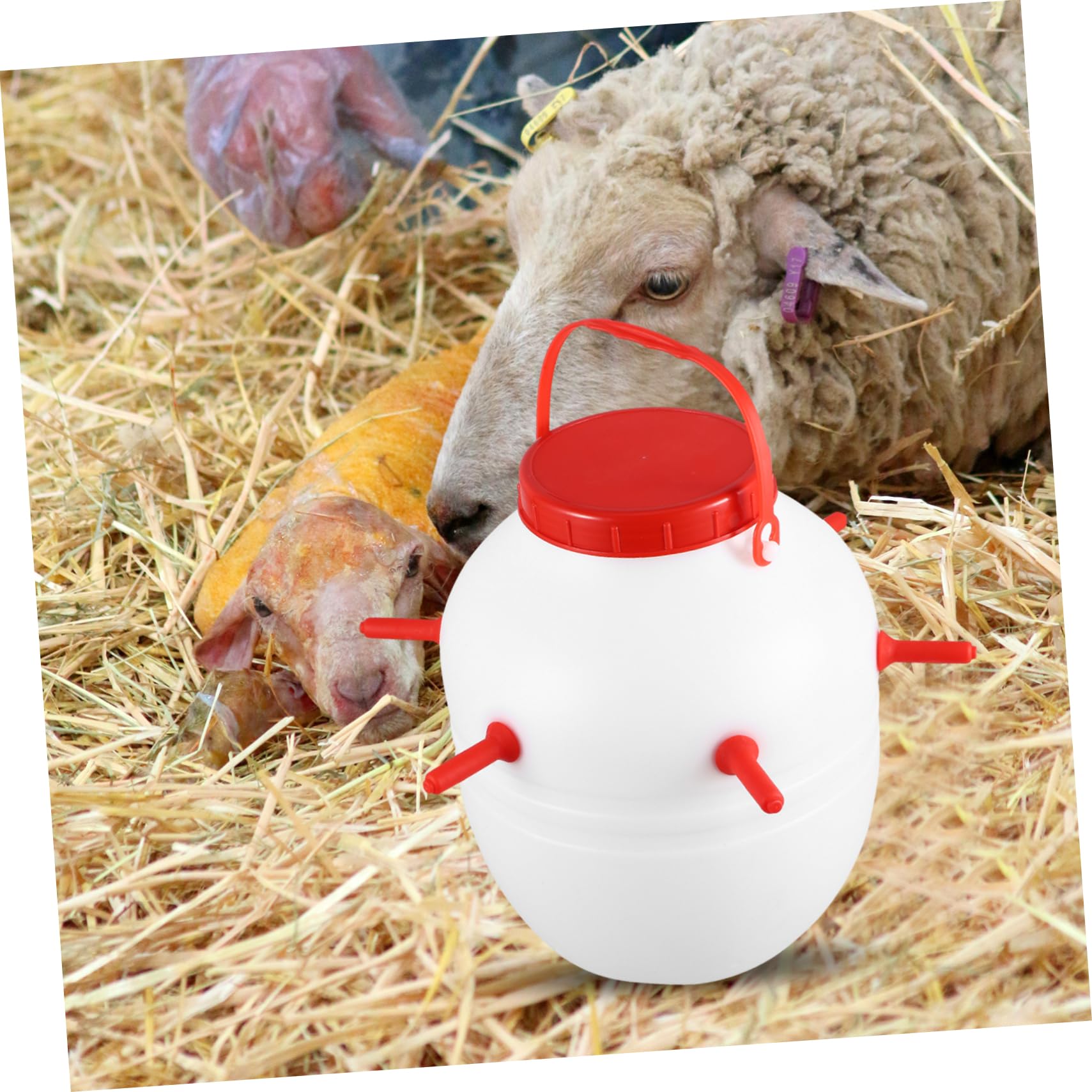 Biberón de para Corderos y Mascotas Botella de Alimentación Plástica Gruesa Resistente Alta Capacidad para Ovejas Perros Cerdos y Caballos con Tetinas