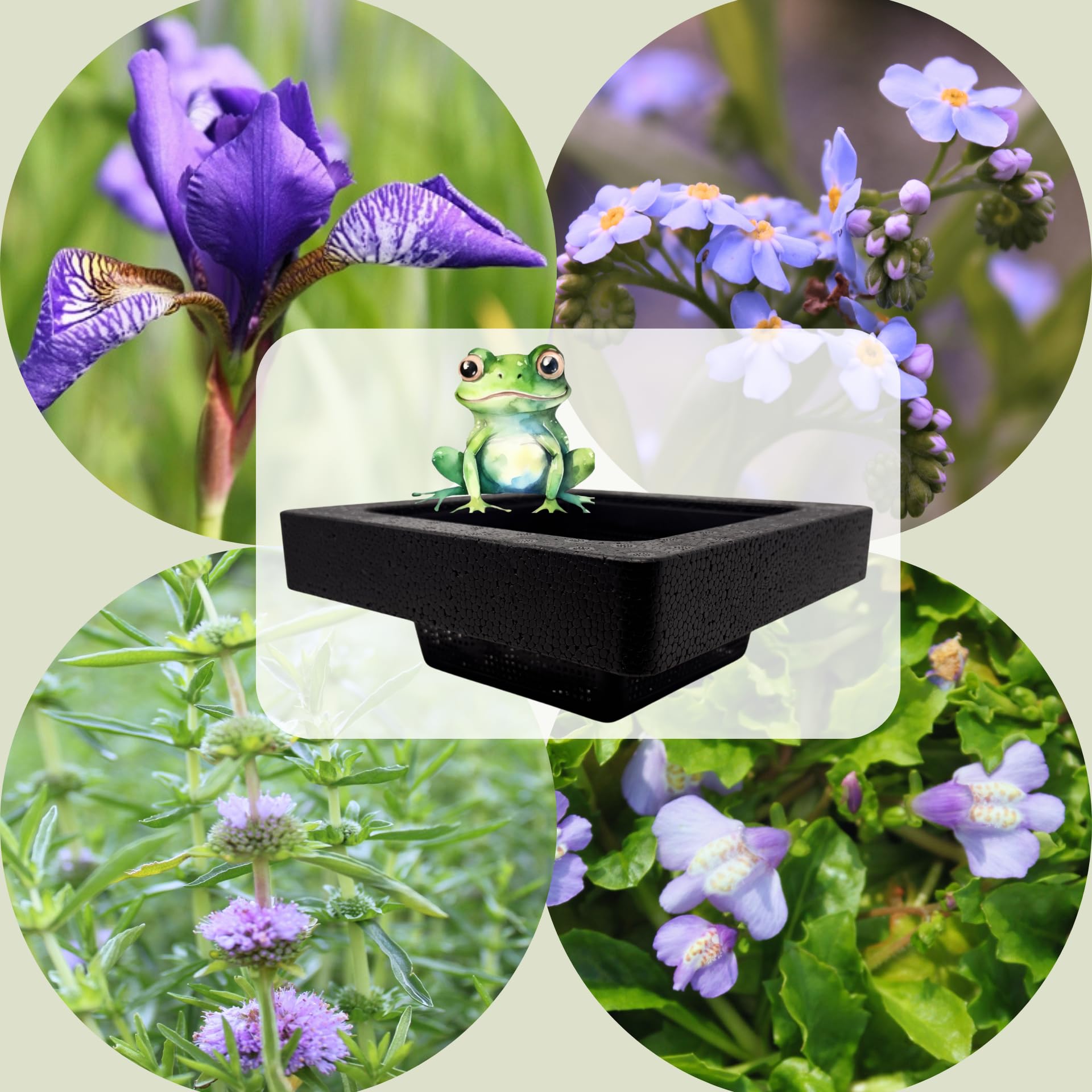 FROG-ISLAND blau- SCHWIMMINSEL inklusive Pflanzen - REIHERSCHUTZ - 4er-Mix mit Pflanzinsel - QUALITÄTSSTAUDEN im Pflanzkorb - Frosch-Insel für Gartenteich