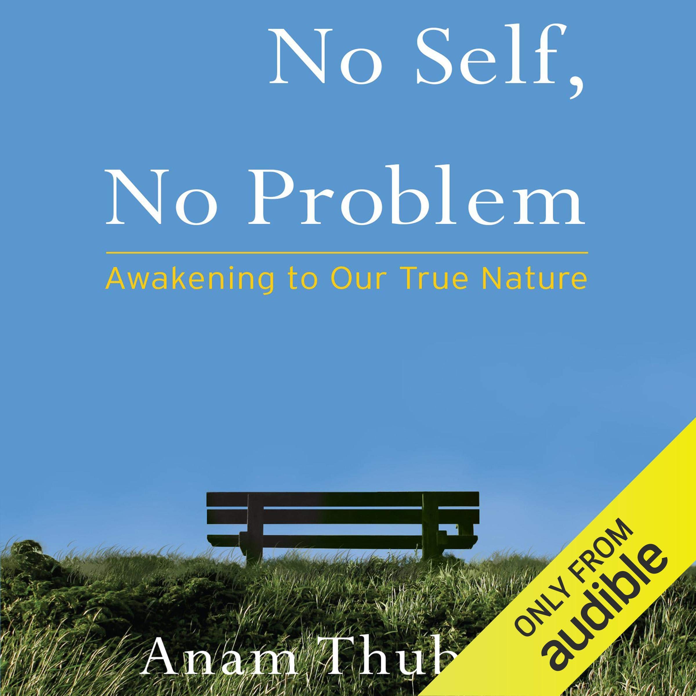 Cover art for No Self, No Problem