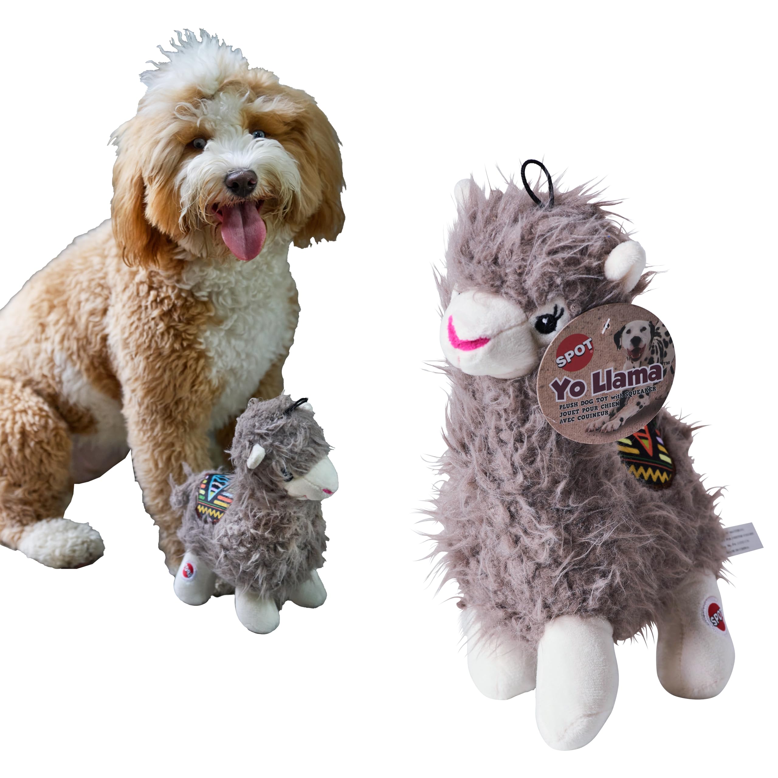 Pet Supplies : SPOT Yo Llama Plush Dog Toy with Squeaker - Soft, Stuffed,  Plush Toy for Small/Medium Dogs & Puppies - Enrichment for Light Chewers &  Cuddlers, 10in, 1 Piece, Assorted