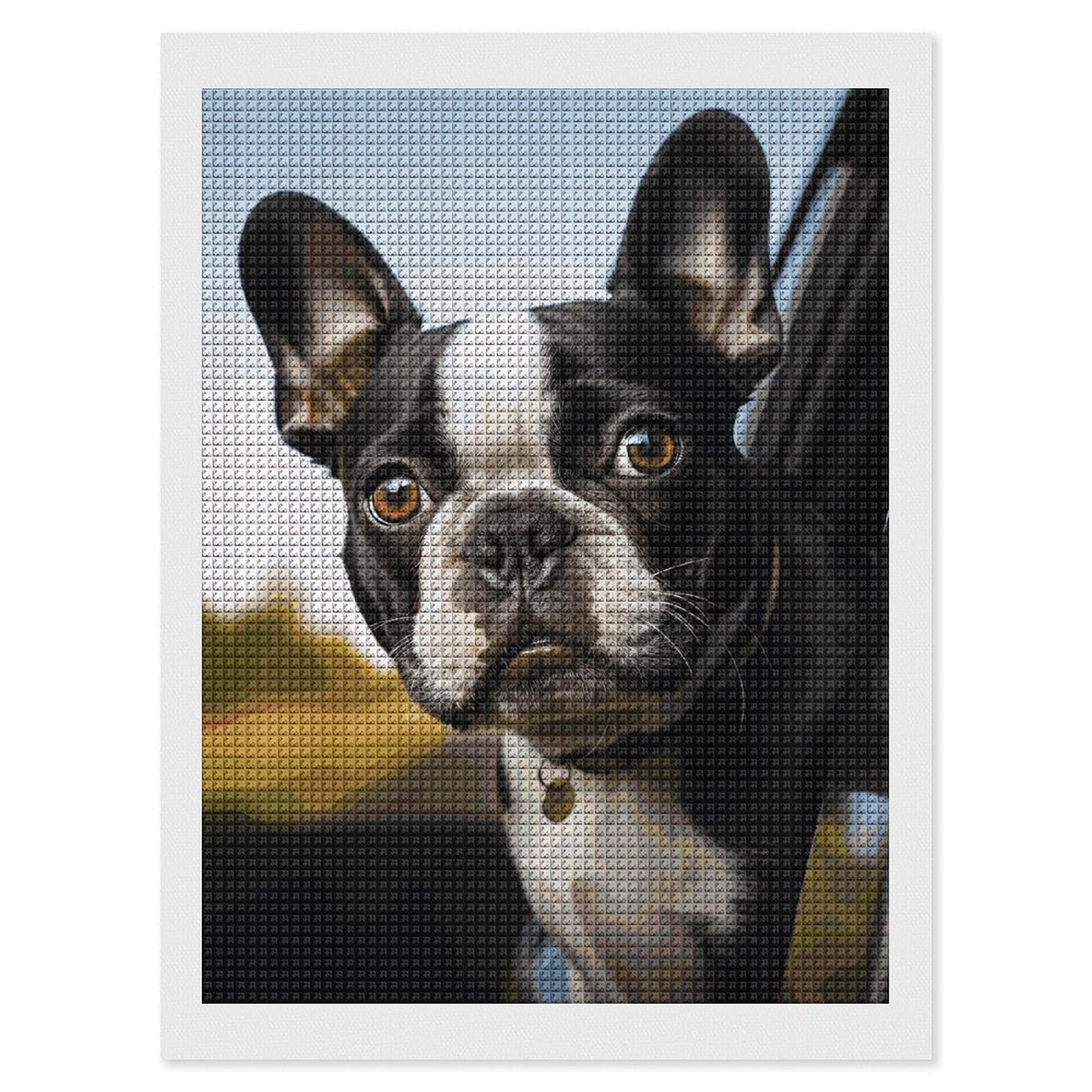 Amazon.com: HETVBNS Diamond Painting Kits for Adults Puppy Dog