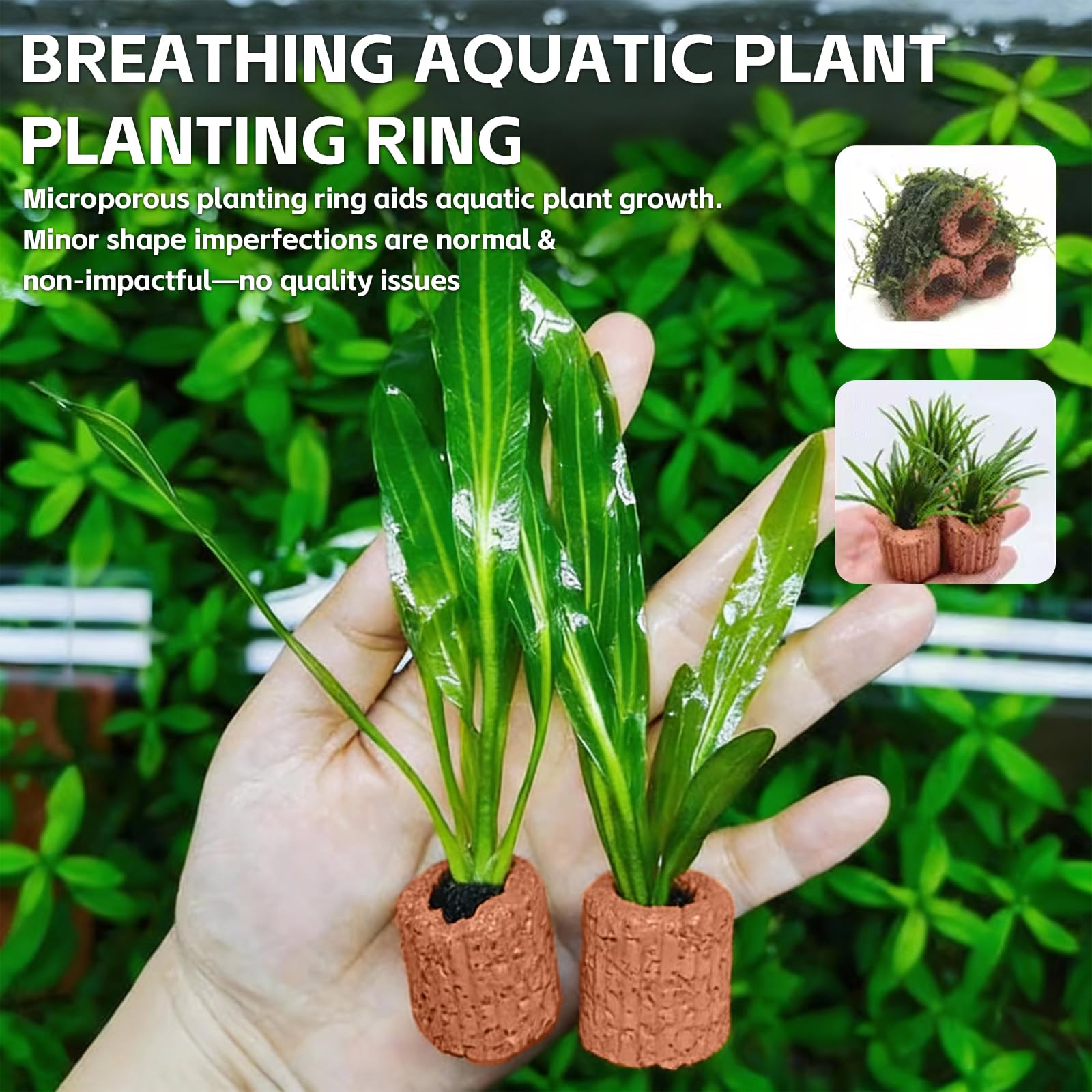 30 Pièces Anneau de Fixation pour Plantes Aquatiques, 2,5 cm Anneaux pour Plantes Aquatiques, Argile Anneaux Fixes en Céramique pour Aménagement Paysager, Support Céramique pour Aquarium