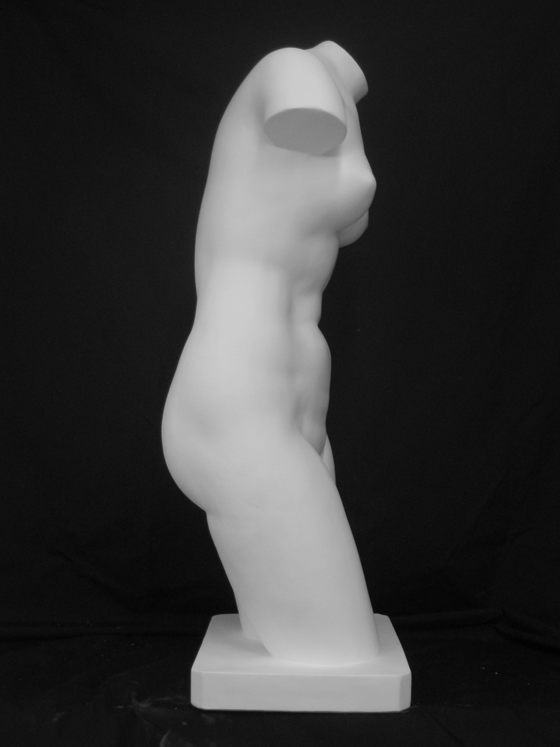 Amazon.co.jp: 石膏像 T－503 トルソー女子（大） H．91cm 