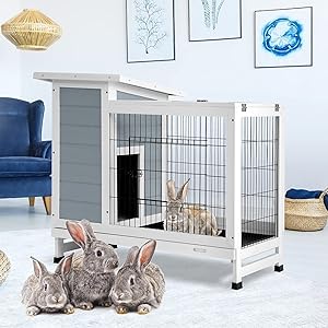 double bunny cage