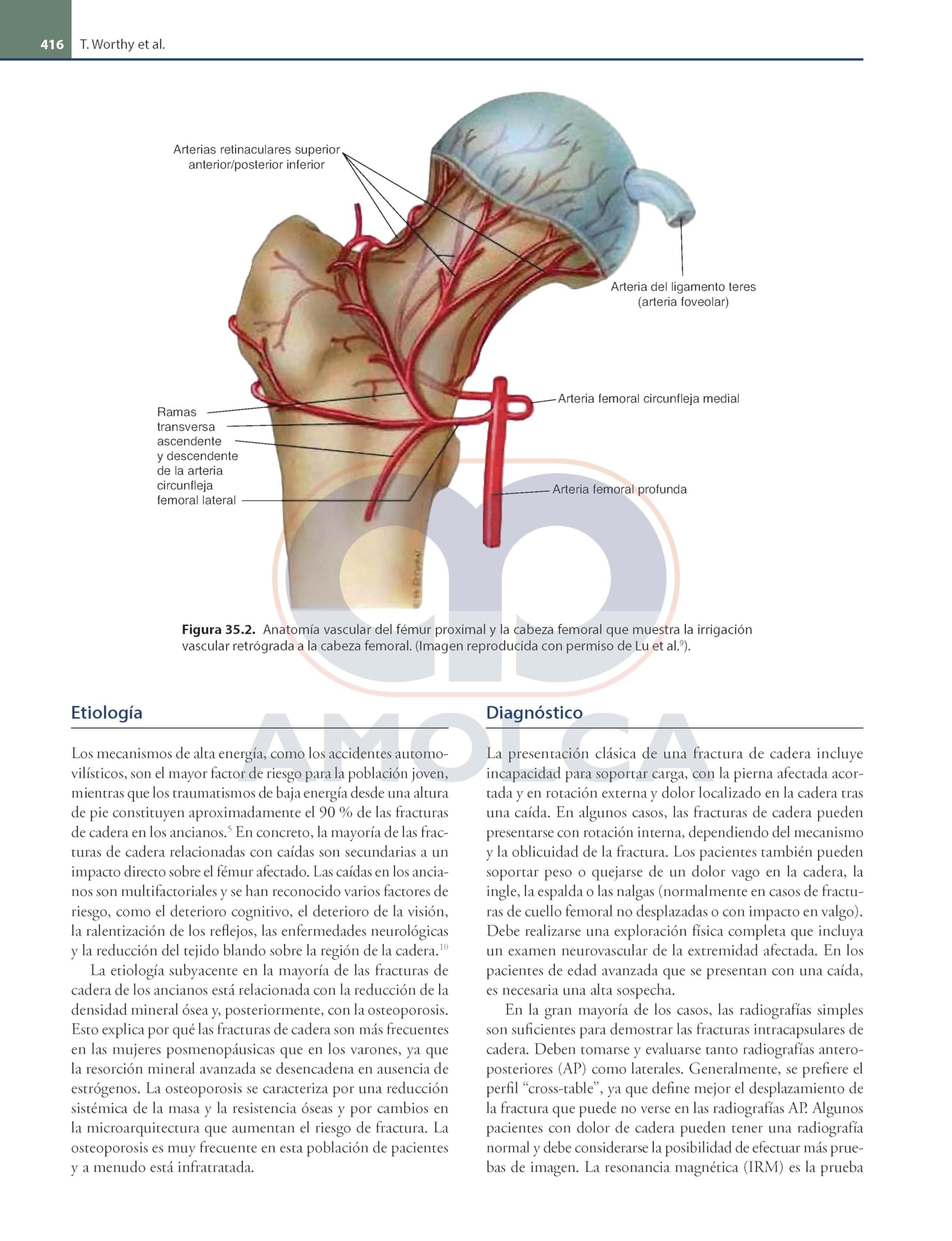 ORTOPEDIA Y TRAUMATOLOGIA FUNDAMENTOS Y PRACTICAS OPTIMAS 3
