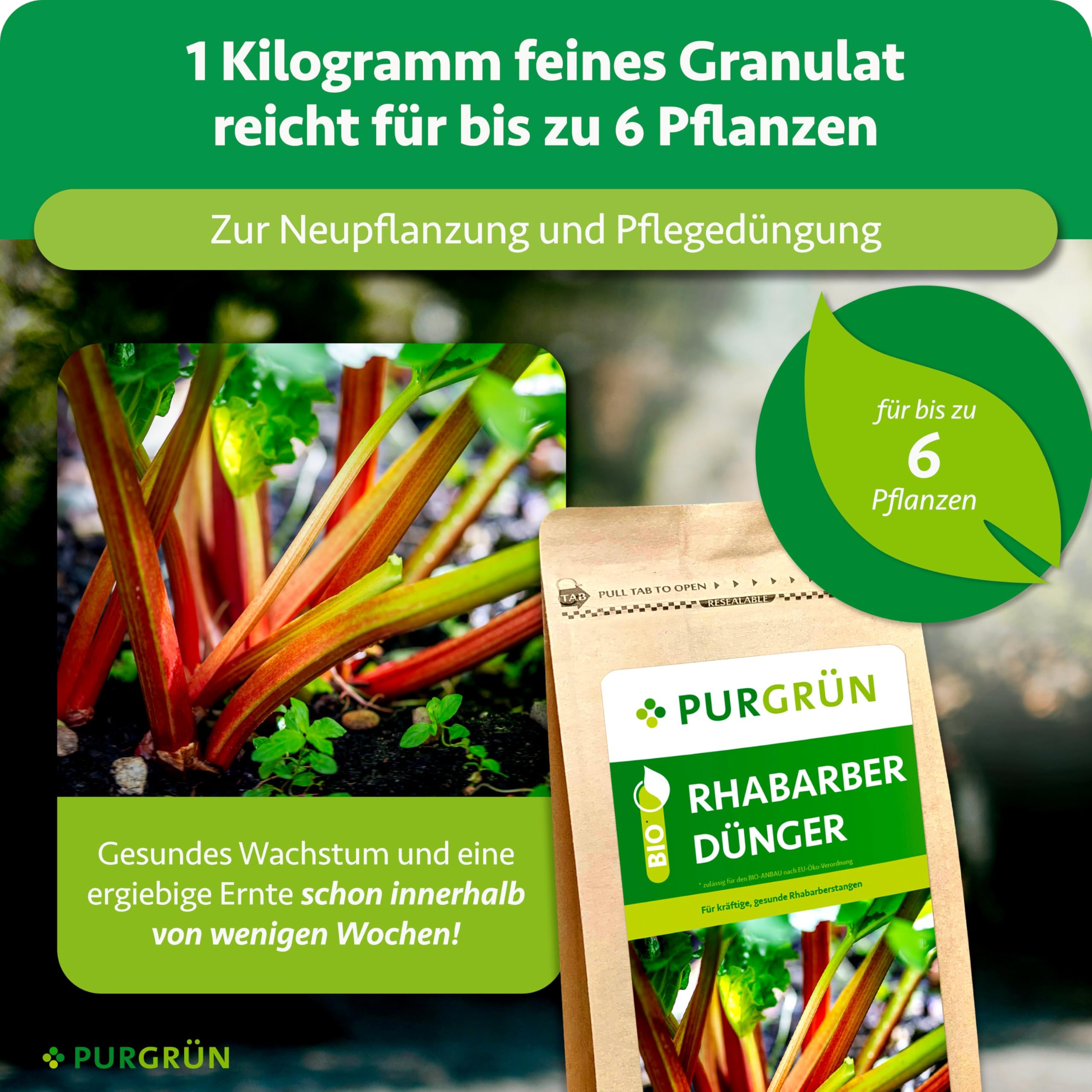 Bio-Rhabarber-Dünger 1 kg – Organisch-mineralische Rezeptur – Feinkörniges Krümelgranulat – NPK 6+4+5 – Mit Magnesium für aromatischen Rhabarber – Verbessert die Bodenqualität