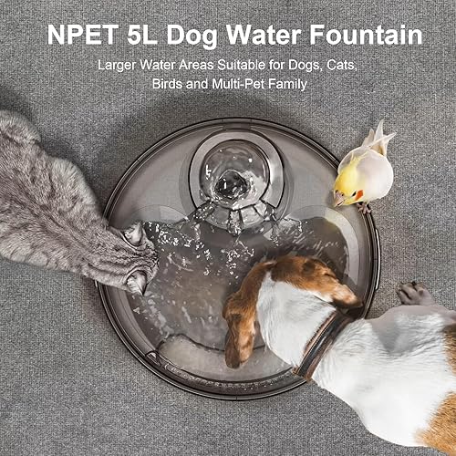 Miniatura 2 de NPET Fuente de agua grande para perros, 169 onzas5 litros de área de bebida profunda, dispensador automático de agua de filtración para mascotas