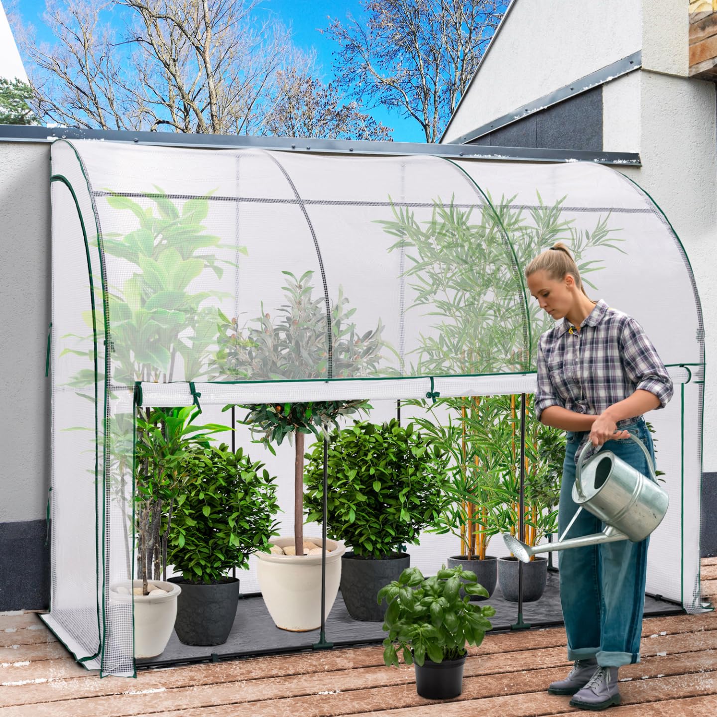 IDMarket – Invernadero de pared respaldado 300 x 80 x 160 cm, doble apertura, balcón y terraza