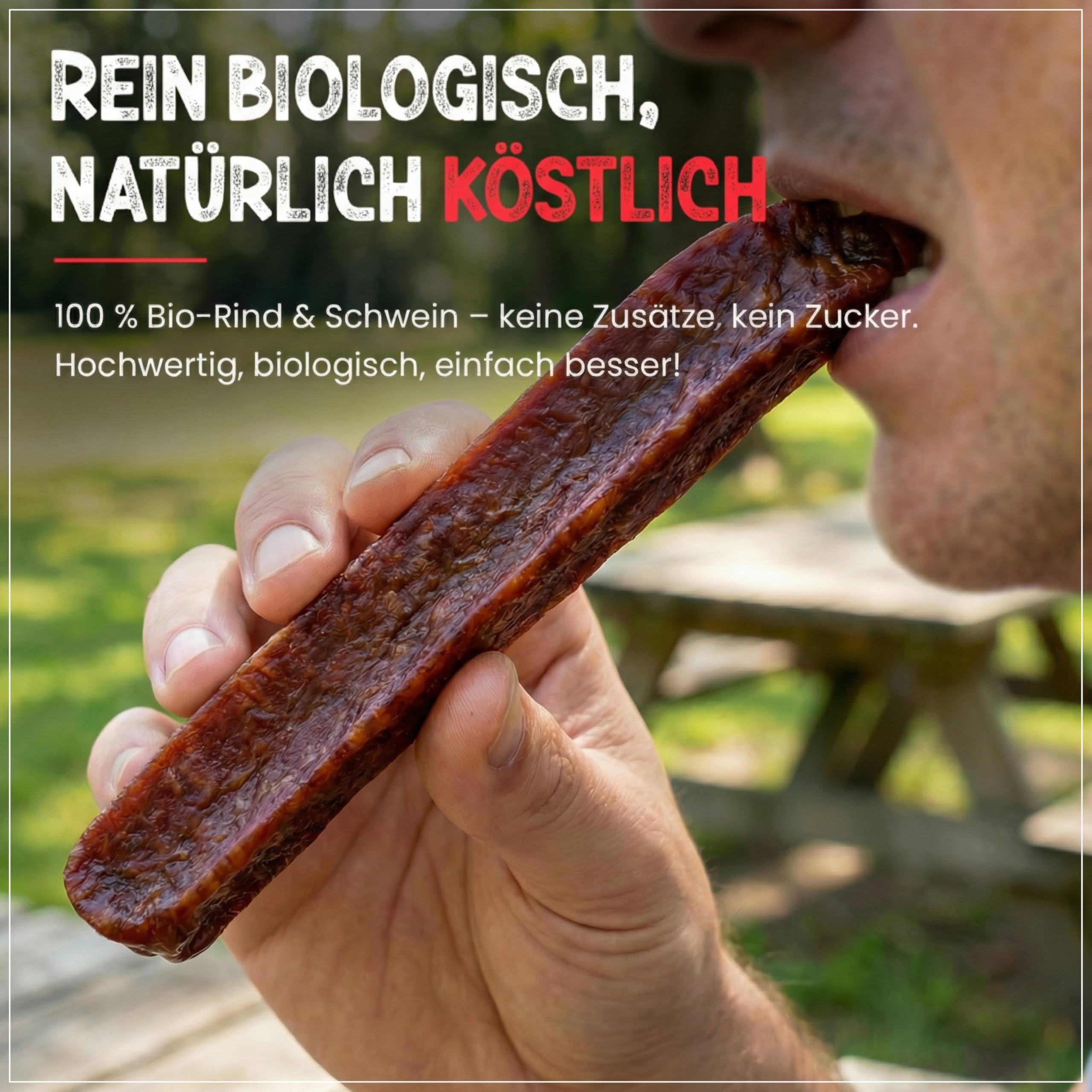 PALEO TO GO Bio Landjäger 6 Paar (à 70 g) - Premium Rohwurst-Spezialität aus Rind- und Schweinefleisch - 100% natürlich & ohne Zusätze - geräucherte Snack Wurst - herzhaft & aromatisch