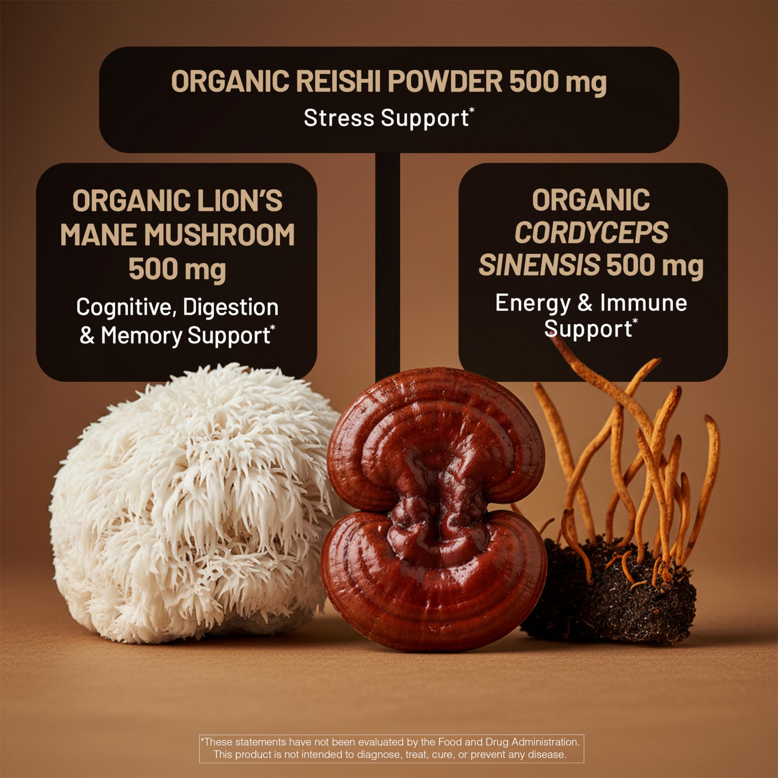NatureWise Mushroom Complex - with Organic Lion's Mane + Reishi & Cordyceps Sinensis - Lions Mane Supplement with Organic Mushrooms - Vegan - Non-GMO - USA Manufactured - 90 Capsules[30-Day Supply] — Amazon image 4