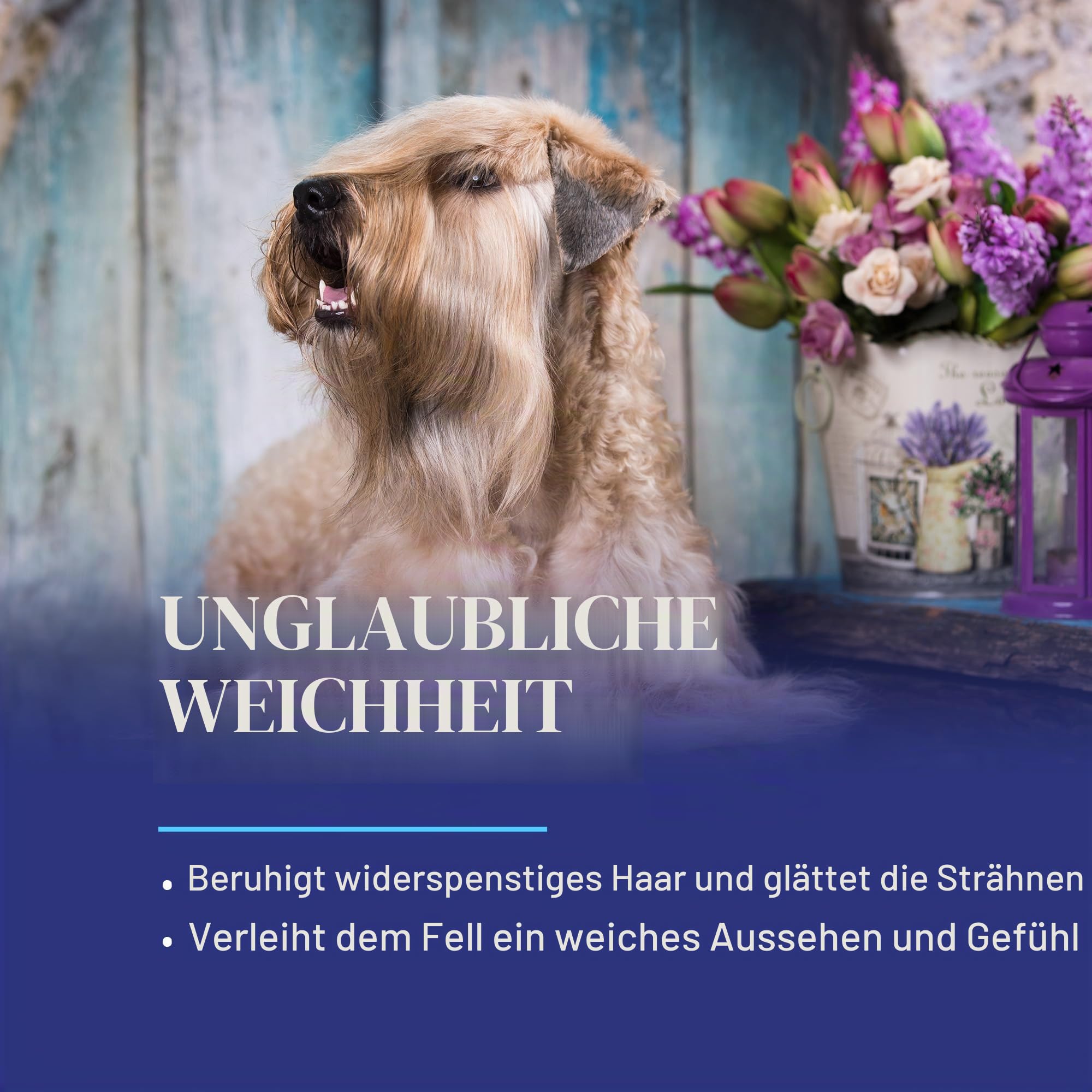 Chris Christensen Spectrum Ten Soft & Smooth Coat - Professioneller Hundepflege-Conditioner für weiches und geschmeidiges Fell - Tiefenwirksame Pflege und großzügige Vorratsgröße, 3,8 l