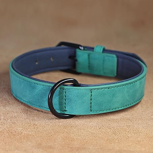 Miniatura 8 de Didog Collar de cuero acolchado suave para perro, collar de cuero transpirable y resistente con hebilla metálica ajustable a prueba de óxido para