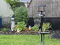 Review Image by Ladd Scavnicky Ladd Scavnicky