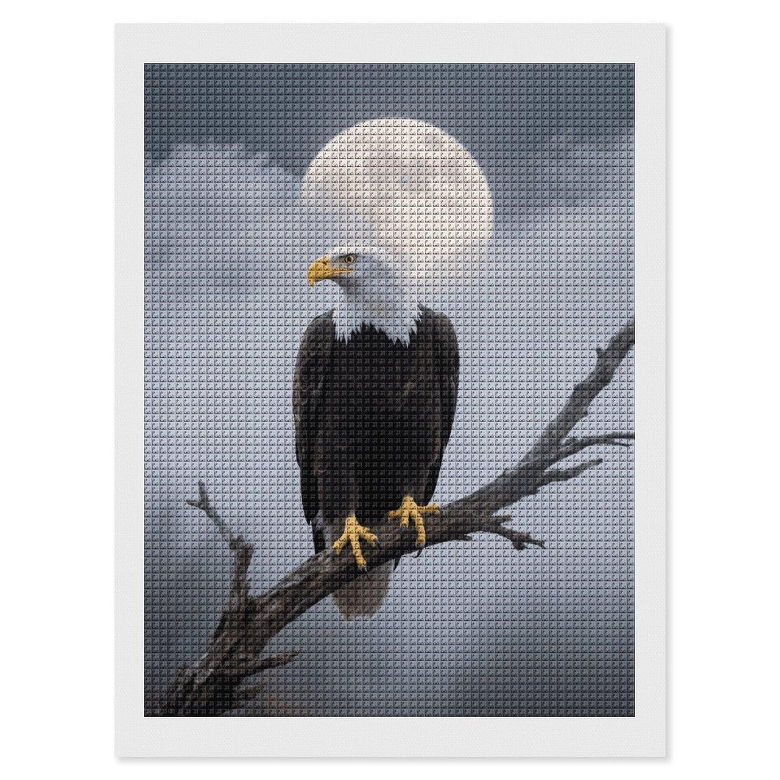 FodPand Eagle Full Moon 5D Diamond Painting Kits for Adults Beginners Full Drill Square Diamond Dots Pictures Gem Art Supplies for Home Wall Room Decoration DIY Craft Set Gift 12x16