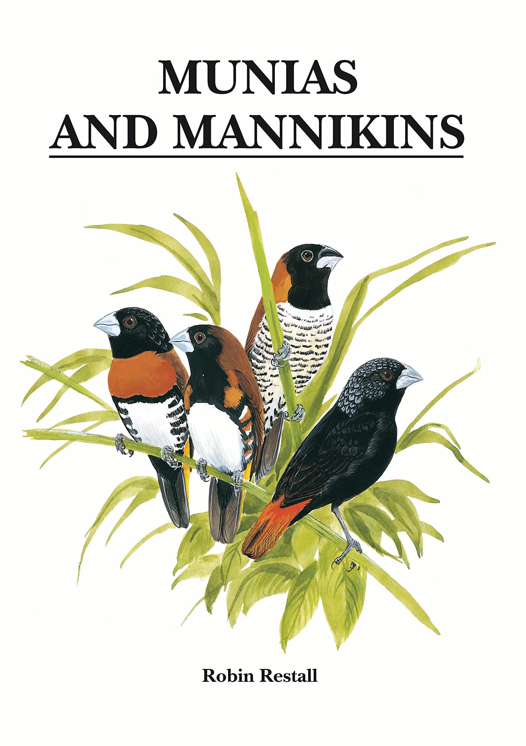Buy Munias and Mannikins — BookShops.in