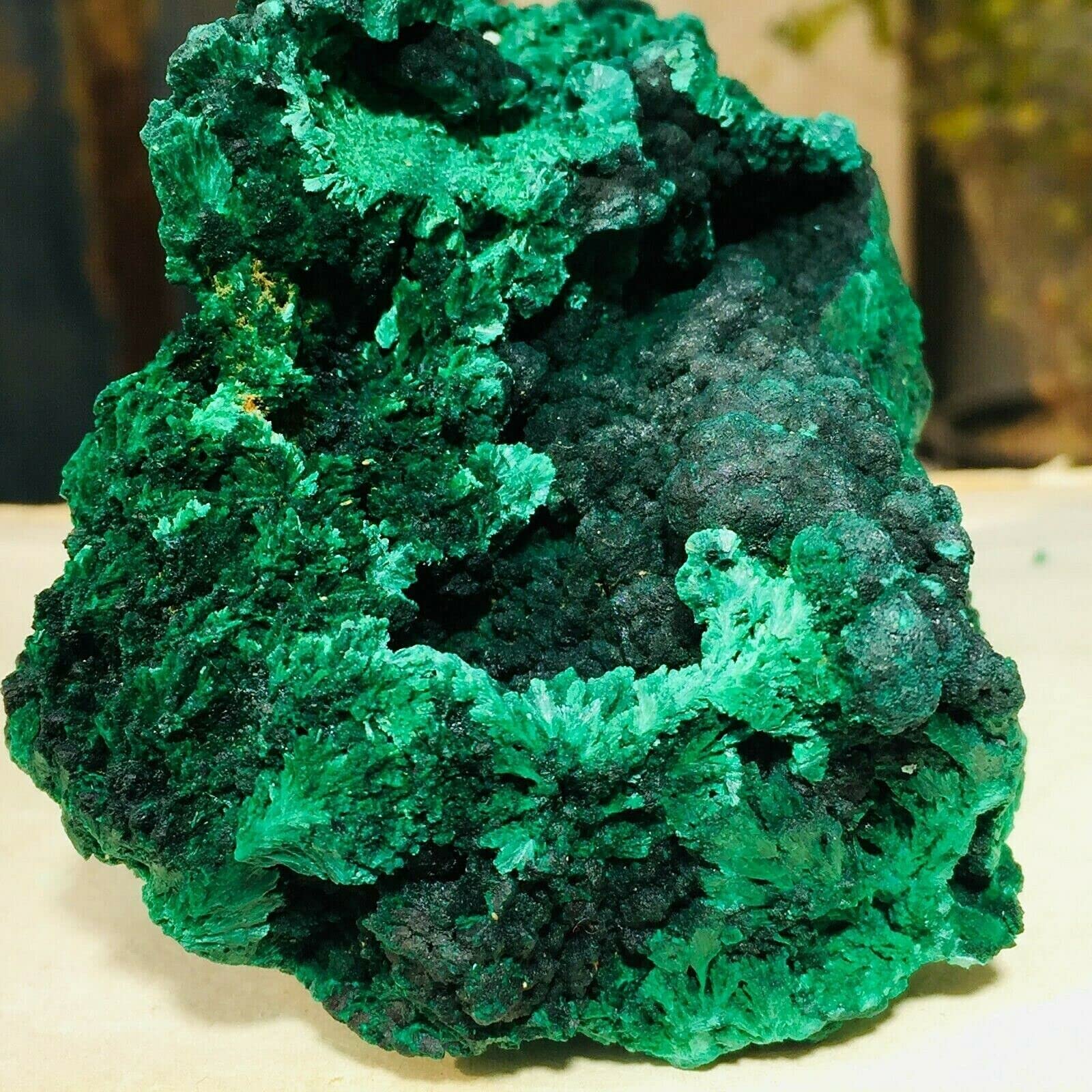 620g Green Malachite Quartz Gemstone Velvet Lustre Rough Mineral Specimen