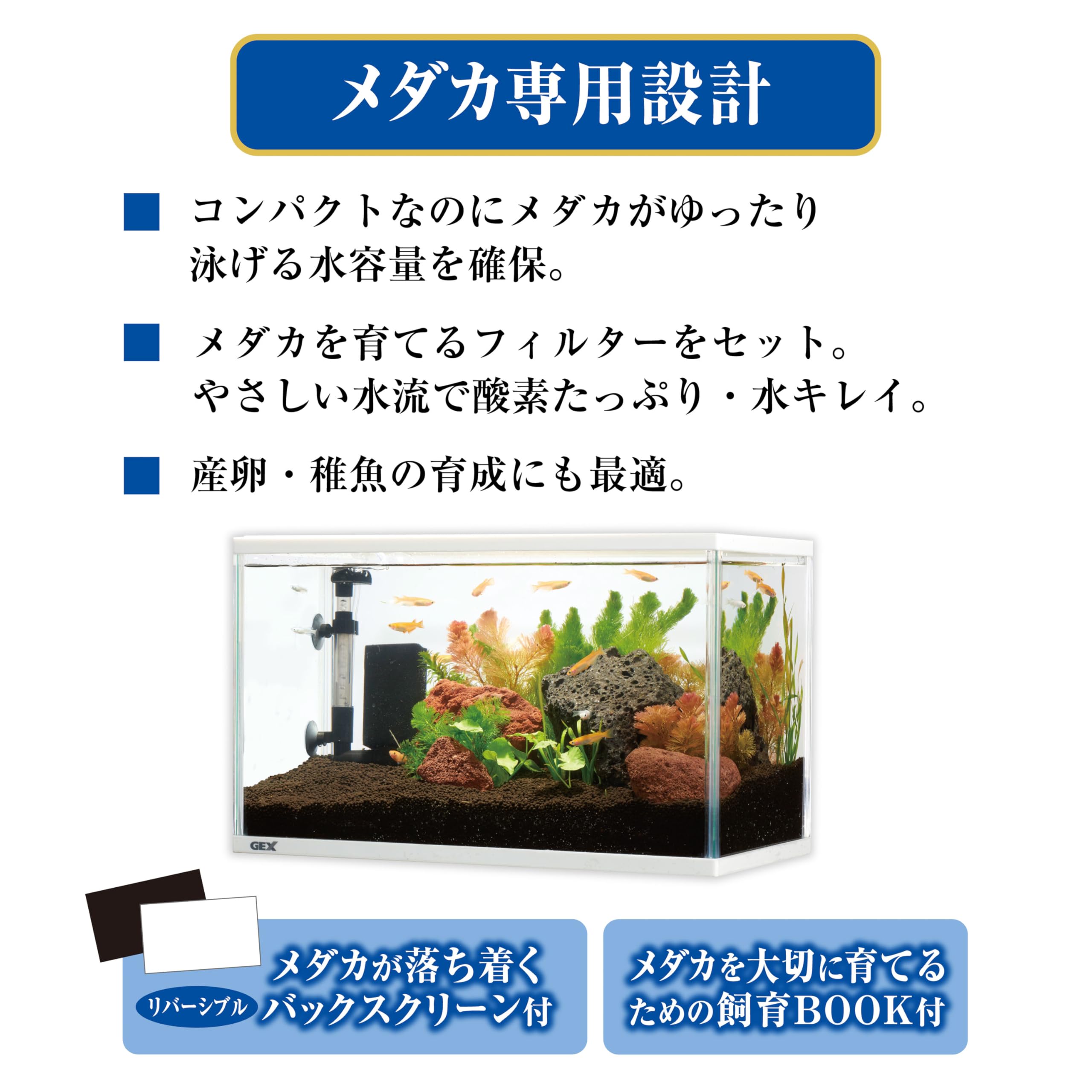Amazon | ジェックス GEX メダカ元気 メダカのための水槽セット400