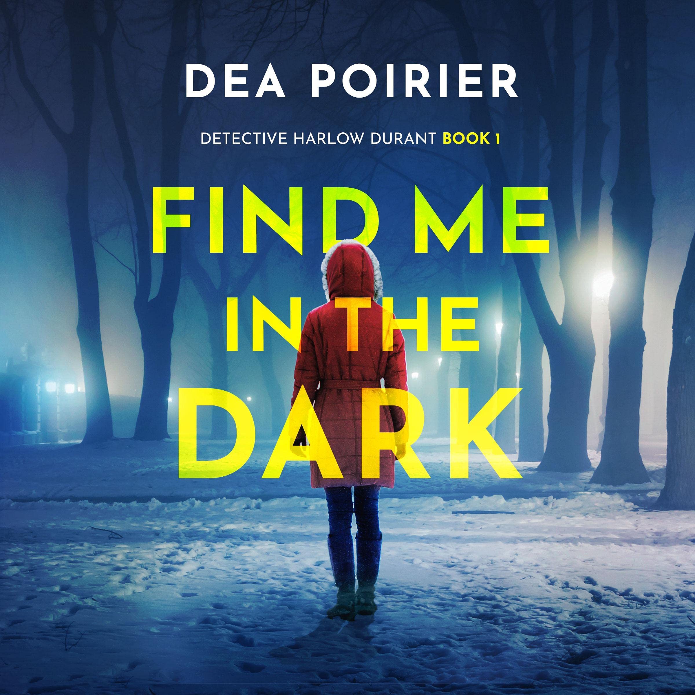 Cover art for Find Me in the Dark