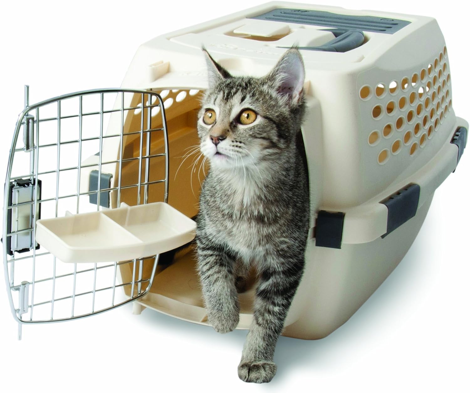 Petmate 21270 Kennel Cab, Small (Bleached Linen) Amazon.ca Pet Supplies