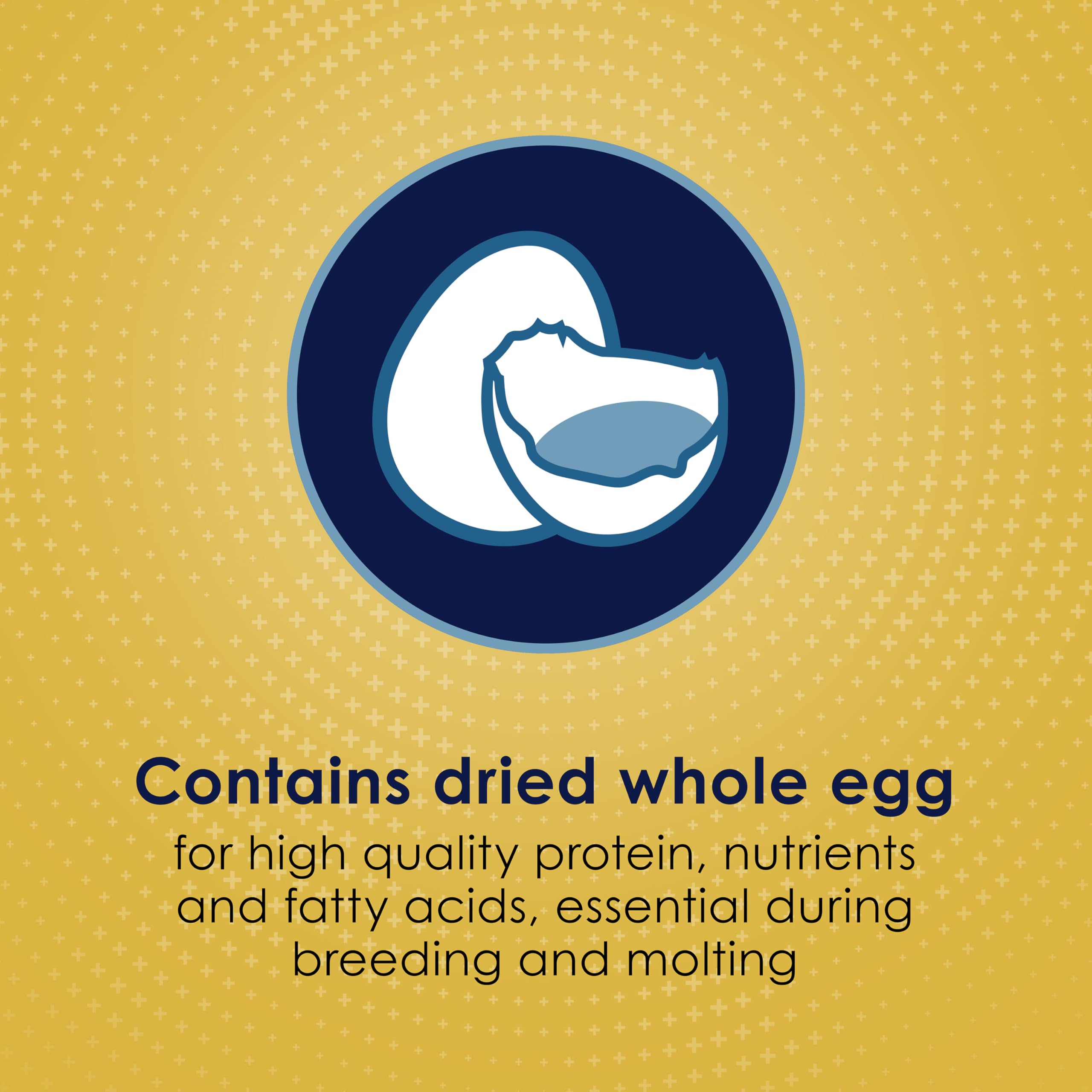 Kaytee forti-Diet Pro Salud Egg-cite. Conure & Agapornis Alimentos, 3-LB Bolsa