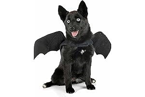 The Batty Buddy: Transform Your Pet into a Spooktacular Halloween Hero