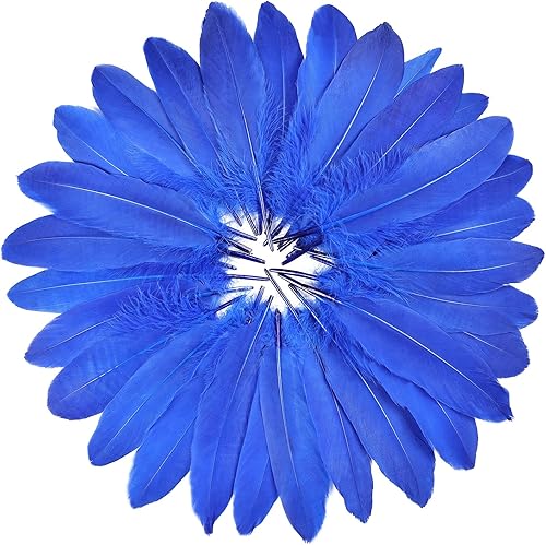 FeelfunFeather 120 plumas de ganso azul rey de 6 a 8 pulgadas, 5.9-7.9 in, decorativas, naturales, plumas de ganso Nagoire a granel para