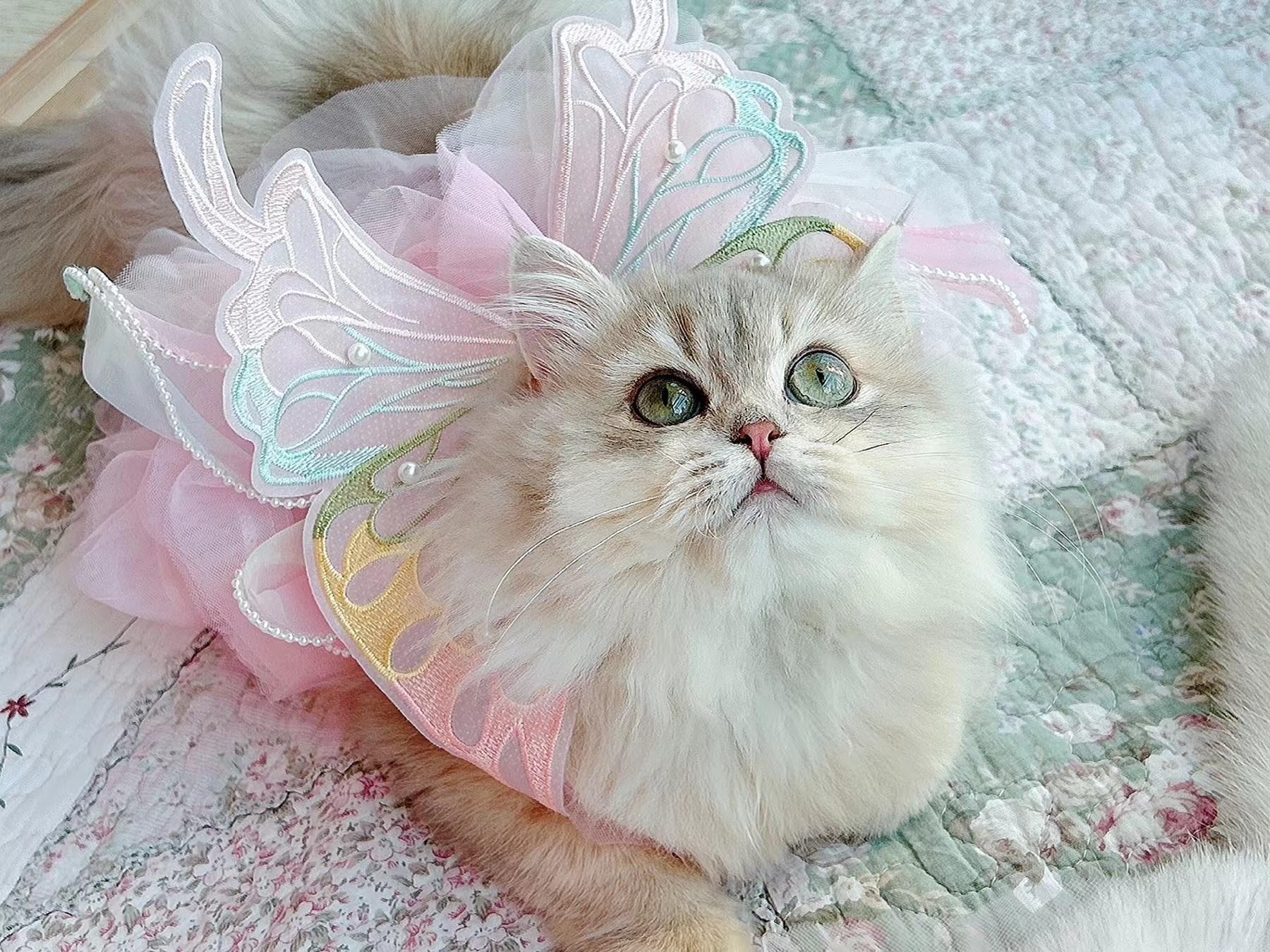Abito da principessa per cani, abito da sposa con gonna tutù multistrato, rosa, XXXL