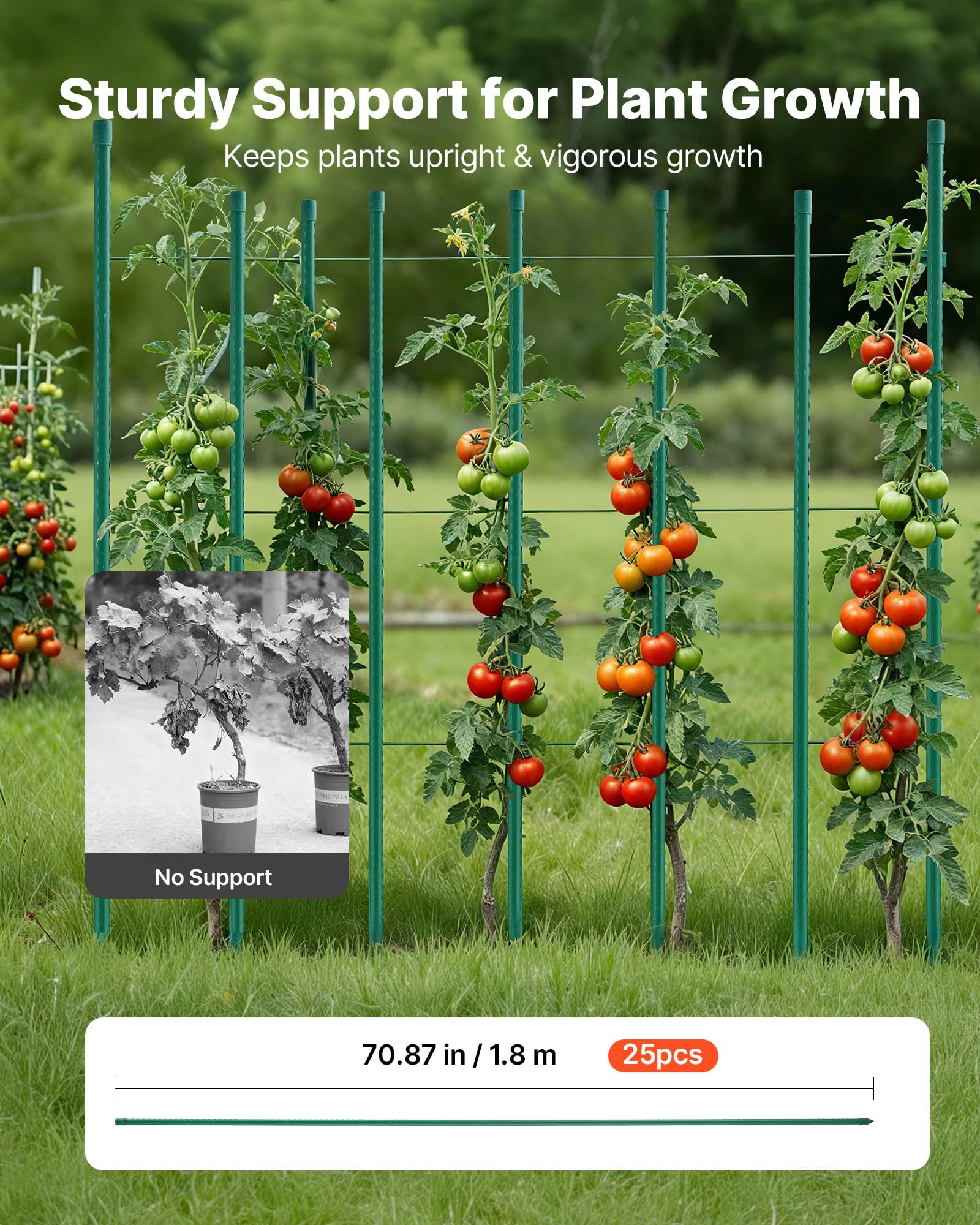 VEVOR Tuteur Plante 1,8 m Tuteur Plante Grimpante 25 PCS Tuteurs à Tomates Jardin pour Soutien Plantes Grimpantes Légumes Extérieur, en Métal Recouvert Plastique Extrémité Pointue Picots Antidérapants