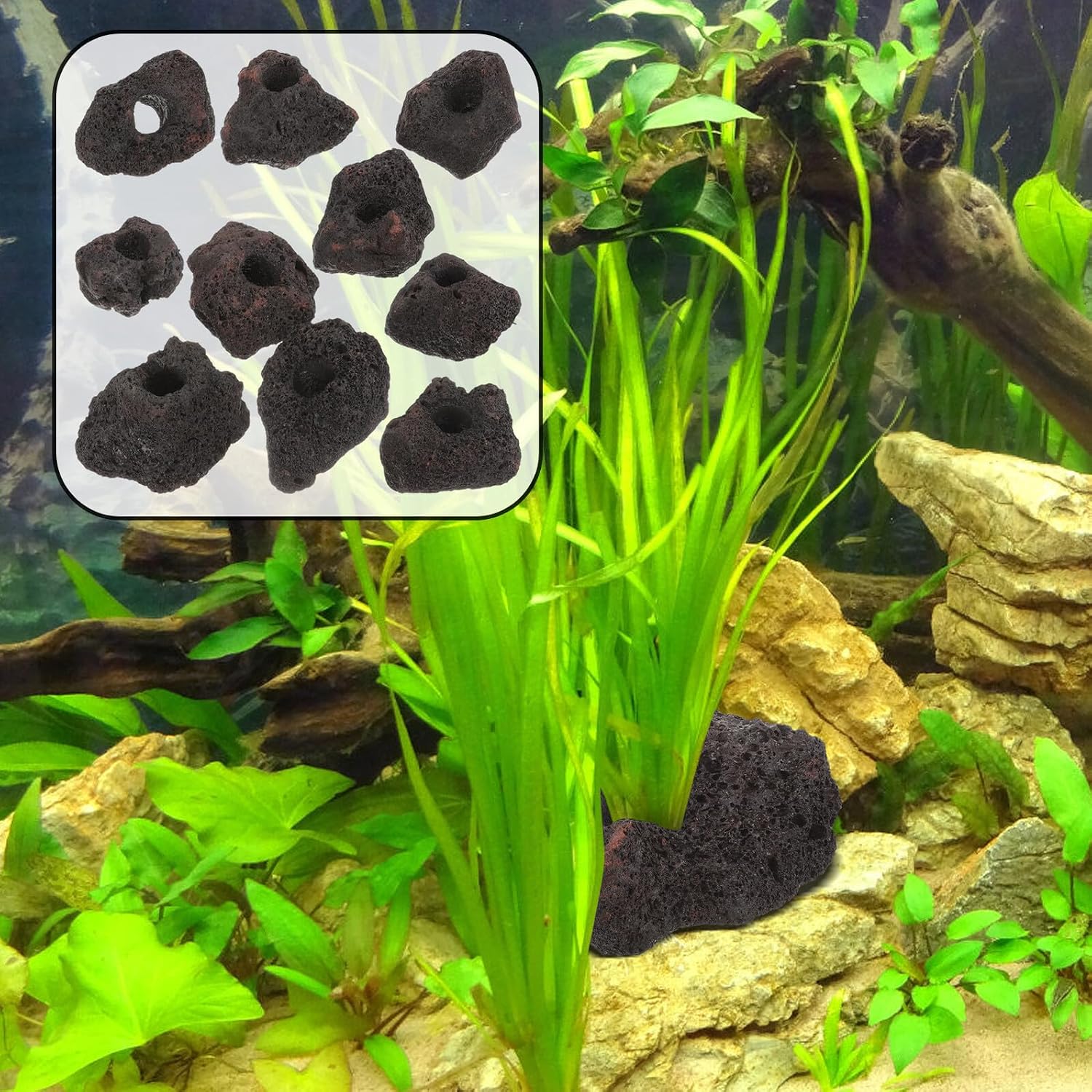 10pcs Volcanic Rock Aquarium Plant Fixed Rings 5-8cm Black Fish Tank Habitat Holders for Aquatic Plant Decoration