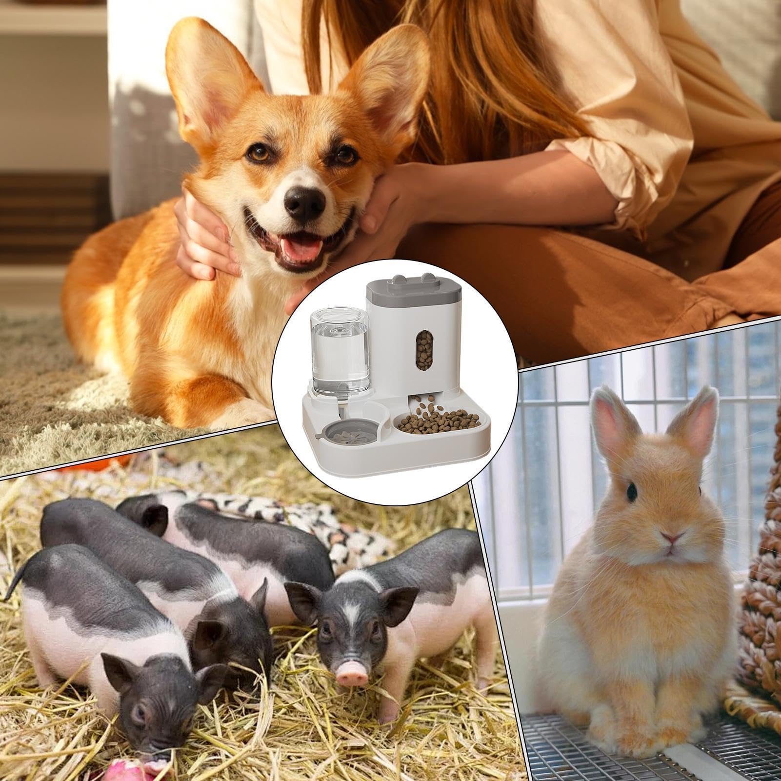 Comederos Automático para Gatos - Dispensador De Agua Y Comida para Mascotas 2 En 1 | Dispensador Inteligente De Comida para Gatos Automático para Interiores para Perros Y Gato Pequeños (Gris)