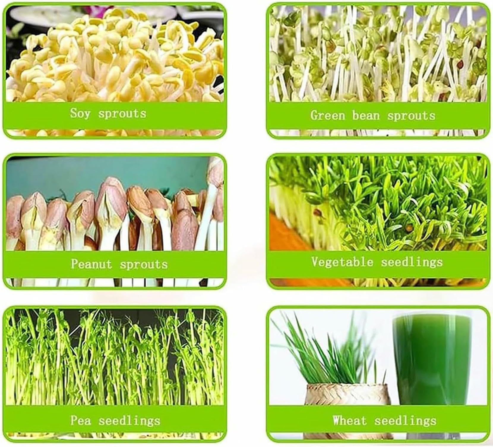 Machine de Germination Automatique de graines, 3 Couches, entièrement Automatique, pulvérisation d'eau à 360 degrés, matériau PP de qualité alimentair