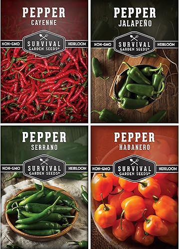 Survival Garden Seeds Bóveda de semillas de colección de pimientos picantes Cayena, Habanero, Jalapeño y Serrano Paquetes de semillas para cultivar