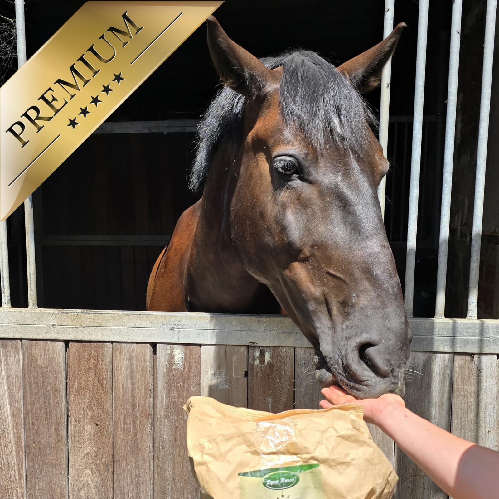 Lyra Horse® 15 kg Leinkuchen Leckerli getreidefrei Pferdefutter Pferde | Snacks aus Sonnenblumenfasern & Leinkuchen - Ausgewogene Nährstoffquelle - Leckerlis für Pferde - Reich an Ballaststoffen