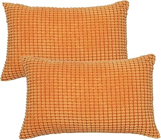 Daysskk Lot de 2 housses de coussin orange 30 x 50 cm en velours côtelé 30 x 50 cm Housse de coussin décorative pour chambre à coucher, canapé avec fermeture éclair dissimulée