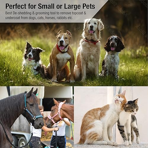 Miniatura 3 de King Kanine Deshedding - Cepillo de limpieza para perros, gatos, perros y caballos, peine para mascotas para aseo y eliminar el pelo suelto,