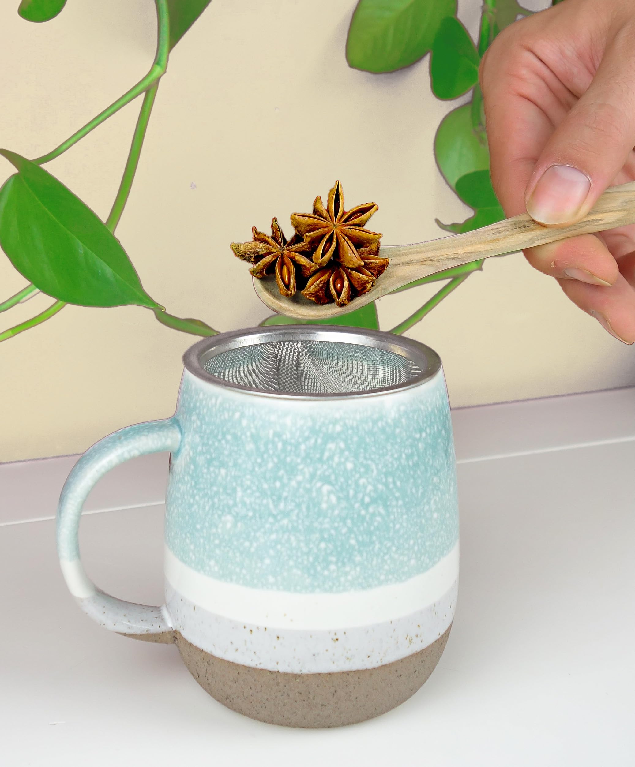 Tea Life Anis Estrellado 800g - Anis Estrellado Entero - Infusion Anis Estrellado - Te de Anis Estrellado - Badiana - Anis Estrellado a Granel - Propiedades Naturales (800 gr)