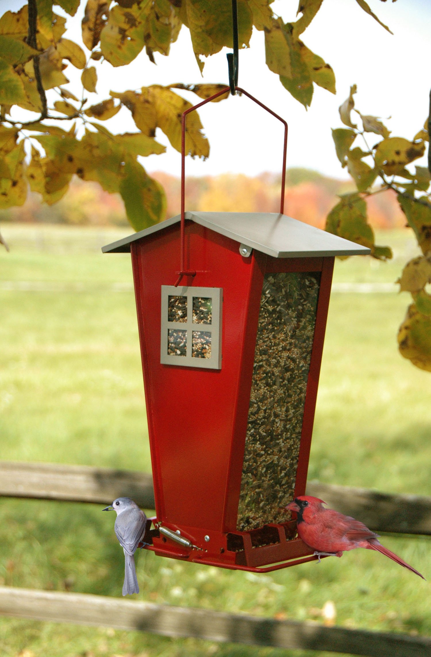 Feeder for Snacking by Woodlink