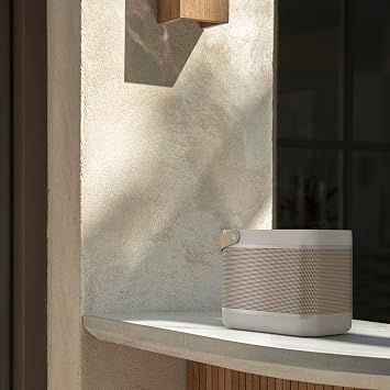 BANG & OLUFSEN Beolit 20 - Portable Bluetooth Speaker - With Wireless Charging Pad, 3.5mm jack output - Smoke Gray