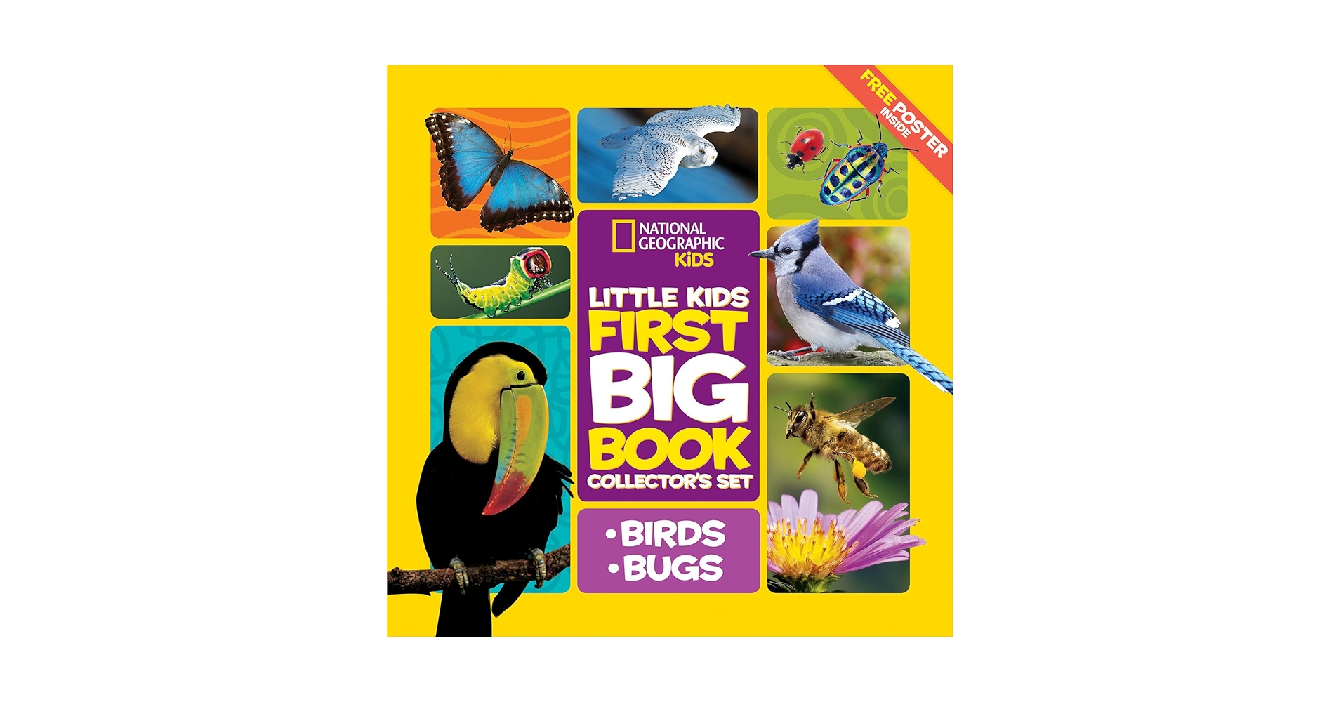 Little Kids First Big Book シリーズ4冊セット National Geographic Little Kids First Big Book Collector's