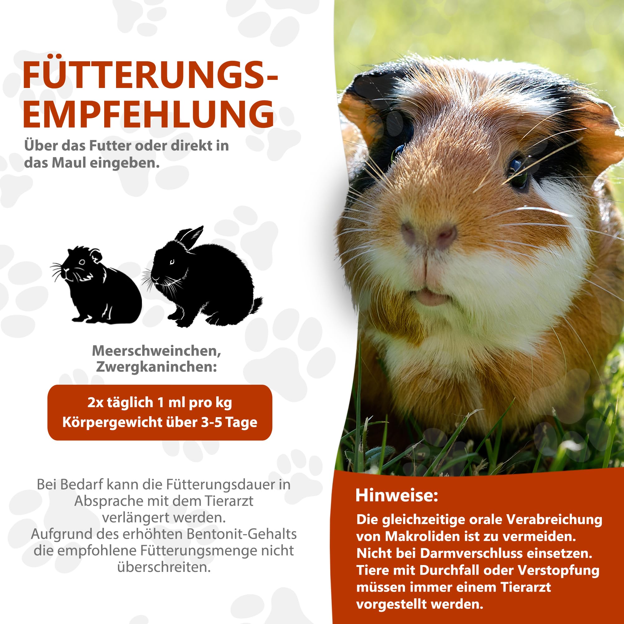 Alfavet RodiCare Dia | Doppelpack | 2 x 3 x 12 ml | Ergänzungsfuttermittel für Zwergkaninchen und Meerschweinchen | Zur Unterstützung der physiologischen Verdauung