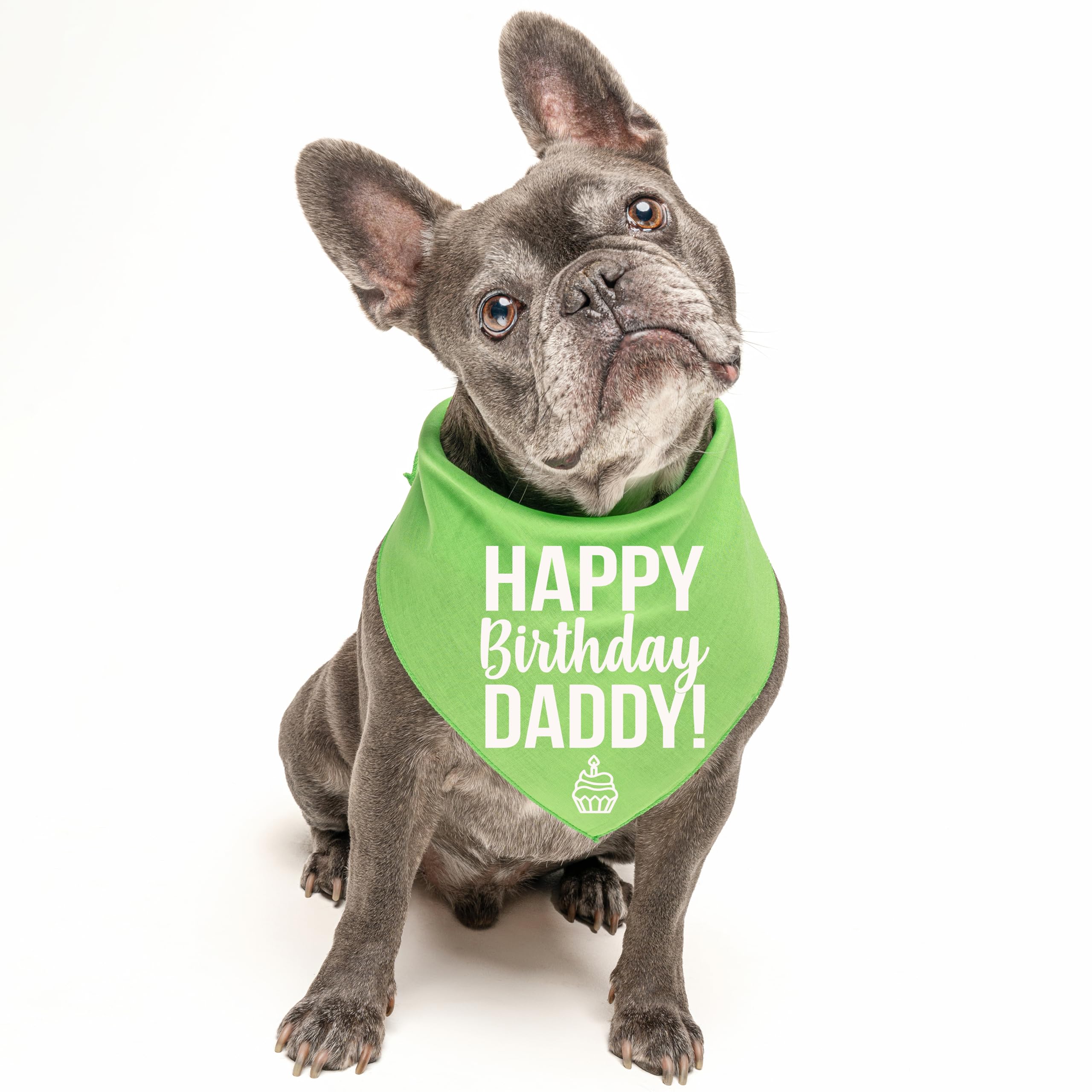 Bandana impresa para perro de feliz cumpleaños (colores surtidos)