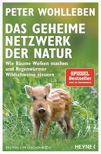 Das geheime Netzwerk der Natur: Wie Bäume Wolken machen und Regenwürmer Wildschweine steuern