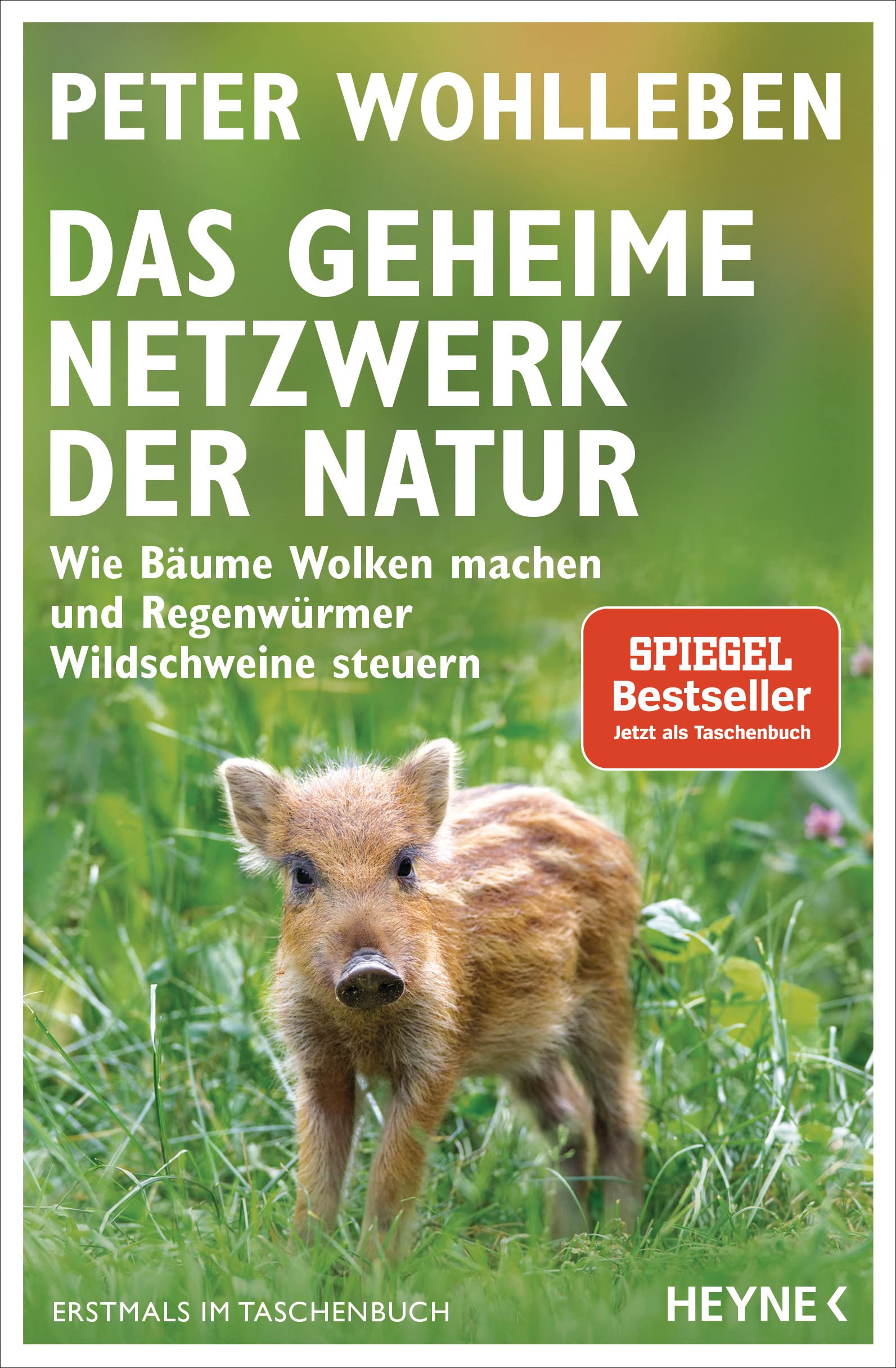 Das geheime Netzwerk der Natur: Wie Bäume Wolken machen und Regenwürmer Wildschweine steuern